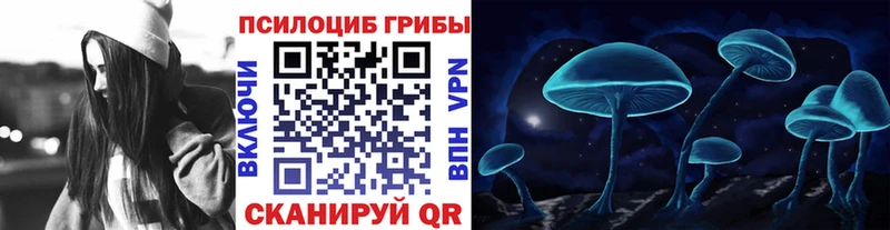купить наркотик  Шилка  Псилоцибиновые грибы мухоморы 