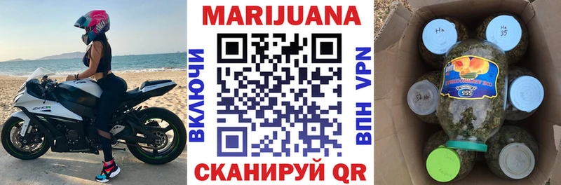 что такое   Шилка  Канабис конопля 